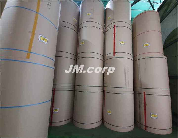Recycled Pulp / De-inked Pulp / Waste Paper Pulp
